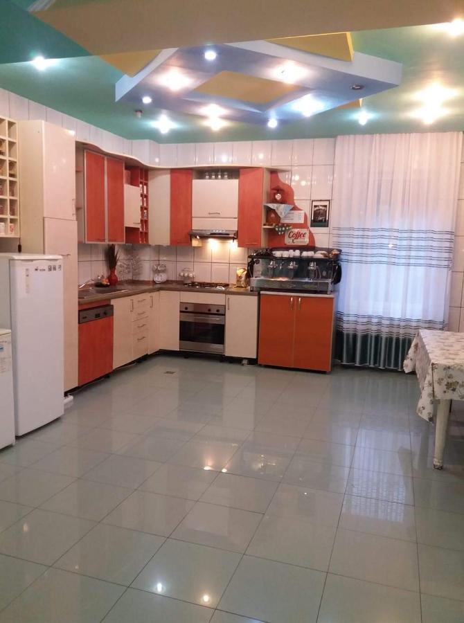 Casa Albastra Hotel Drumu Carului Ngoại thất bức ảnh