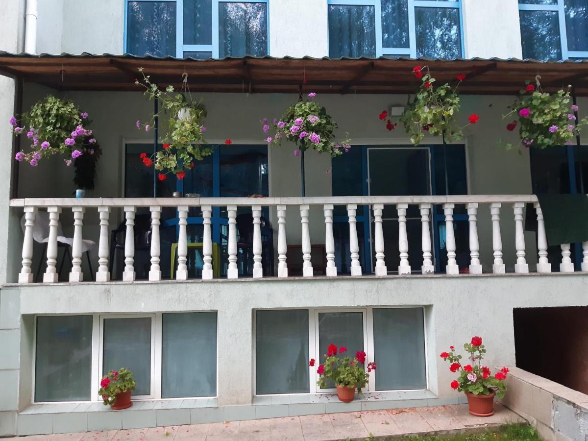 Casa Albastra Hotel Drumu Carului Ngoại thất bức ảnh