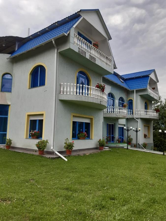 Casa Albastra Hotel Drumu Carului Ngoại thất bức ảnh