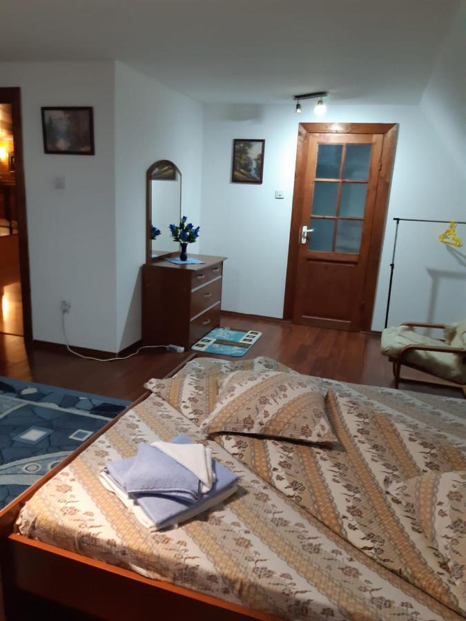 Casa Albastra Hotel Drumu Carului Ngoại thất bức ảnh
