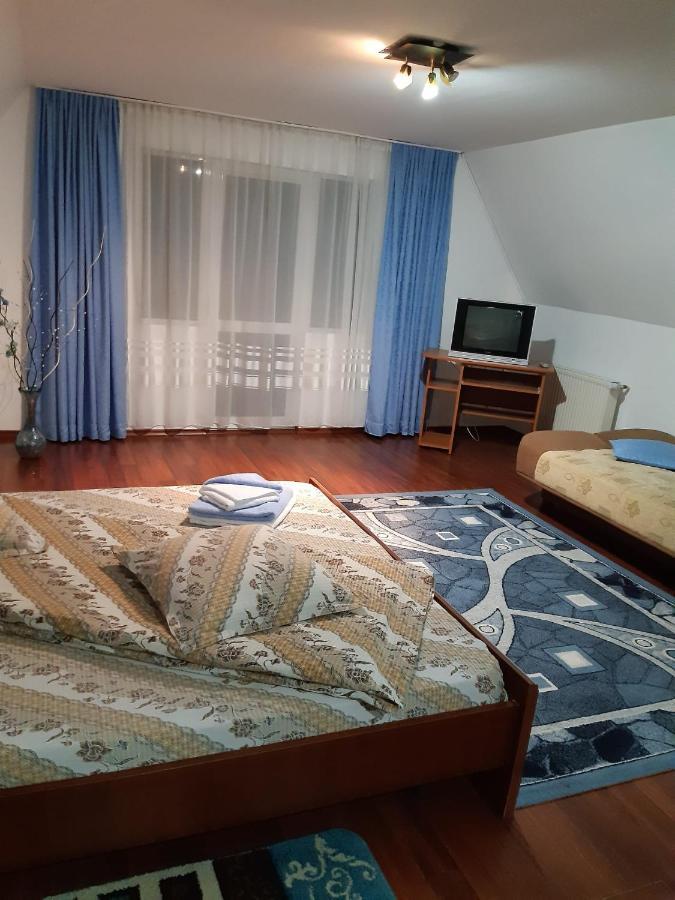 Casa Albastra Hotel Drumu Carului Ngoại thất bức ảnh
