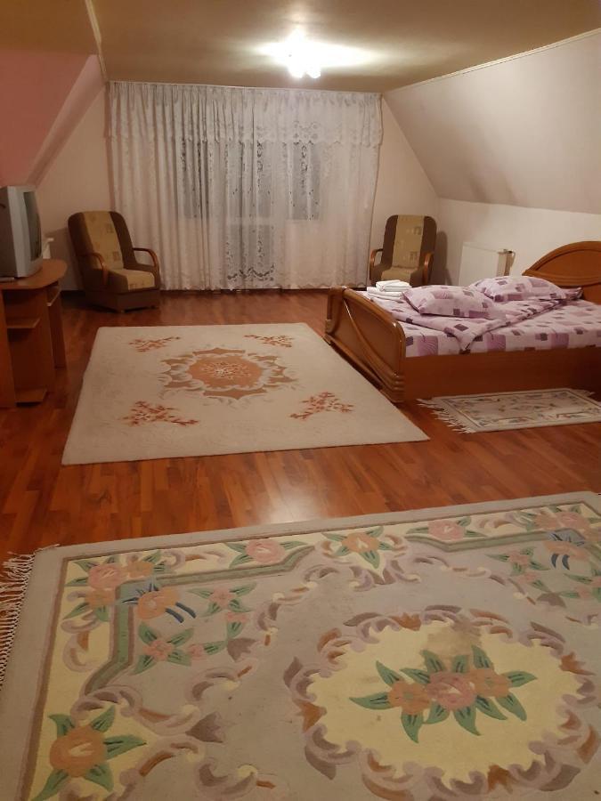 Casa Albastra Hotel Drumu Carului Ngoại thất bức ảnh