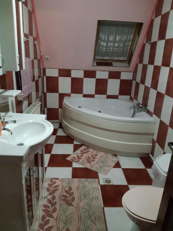 Casa Albastra Hotel Drumu Carului Ngoại thất bức ảnh