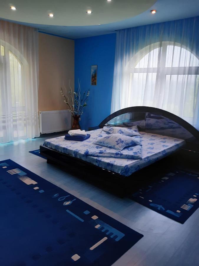 Casa Albastra Hotel Drumu Carului Ngoại thất bức ảnh