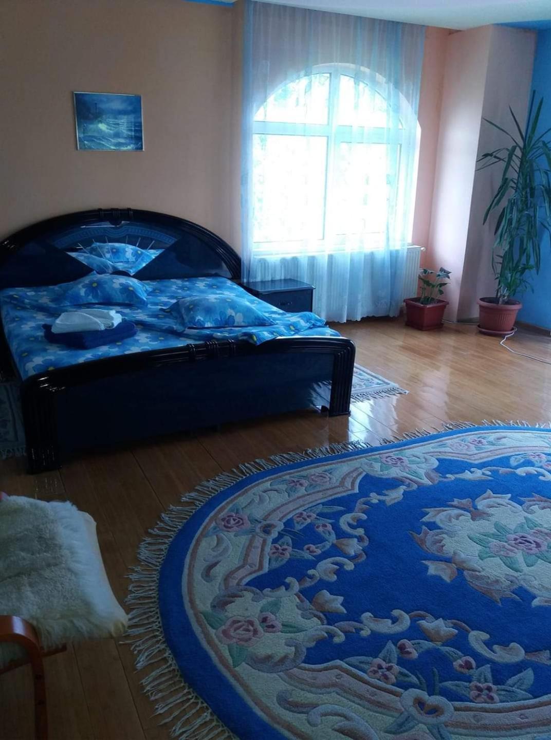 Casa Albastra Hotel Drumu Carului Phòng bức ảnh